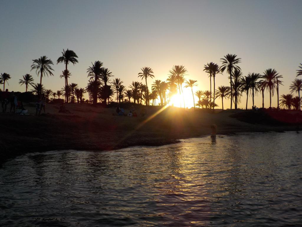 Ferienwohnung La Siesta Torrevieja Zimmer foto